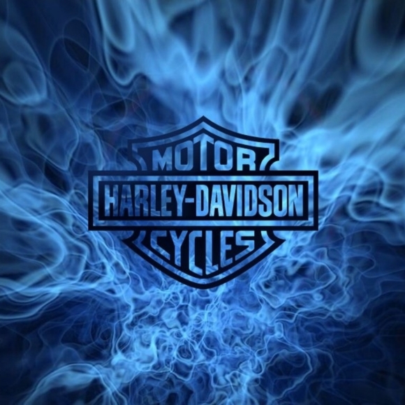 Meet your Posher, Matthew - Picture 6 of 7